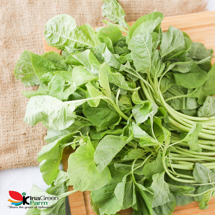 Inagreen Farm Bandung Sayur Bayam Hijau Organik 250 Gram