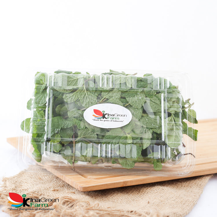 Inagreen Farm Bandung Daun Mint Fresh 100 Gram