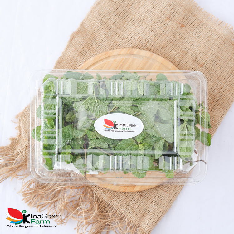 Inagreen Farm Bandung Daun Mint Fresh 100 Gram