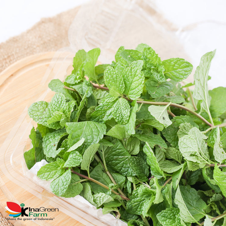 Inagreen Farm Bandung Daun Mint Fresh 100 Gram