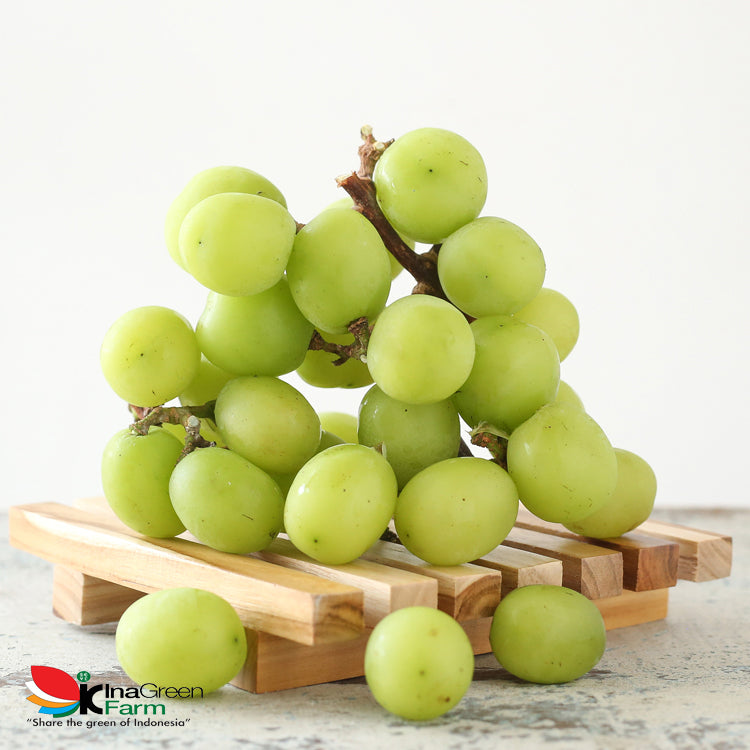 Inagreen Farm Bandung Buah Anggur Hijau Shine Muscat Premium 500 Gram