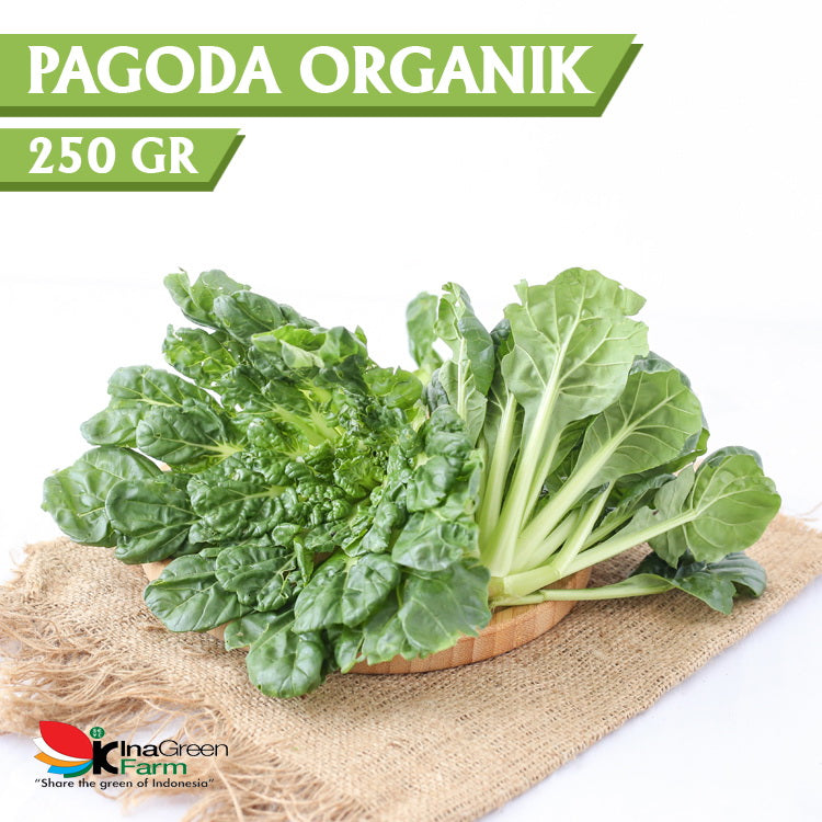 Inagreen Farm Bandung Sayur Pagoda Organik 250 Gram