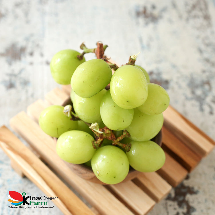 Inagreen Farm Bandung Buah Anggur Hijau Shine Muscat Premium 500 Gram