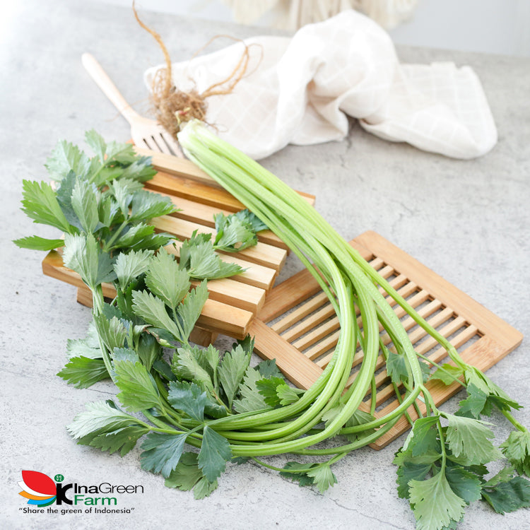 Inagreen Farm Bandung Daun Seledri 100 Gram