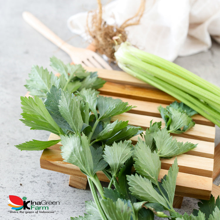 Inagreen Farm Bandung Daun Seledri 100 Gram