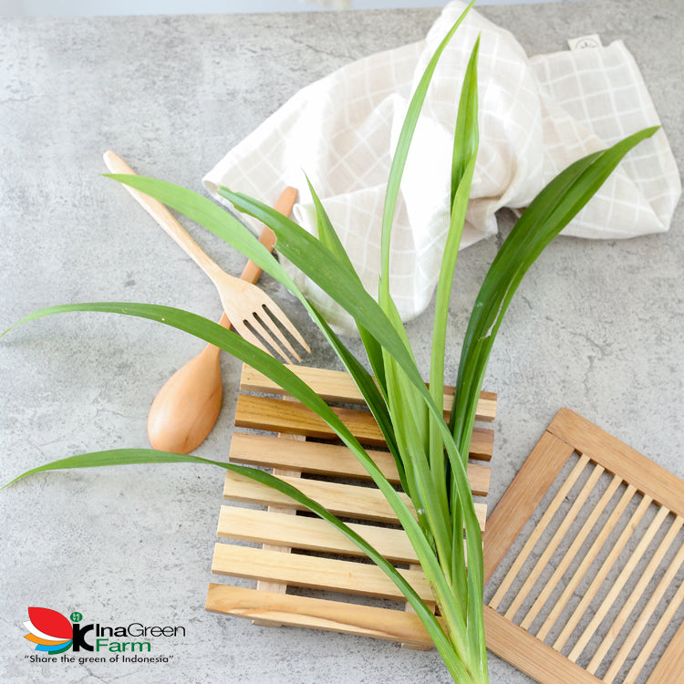 Inagreen Farm Bandung Daun Pandan 100 gram