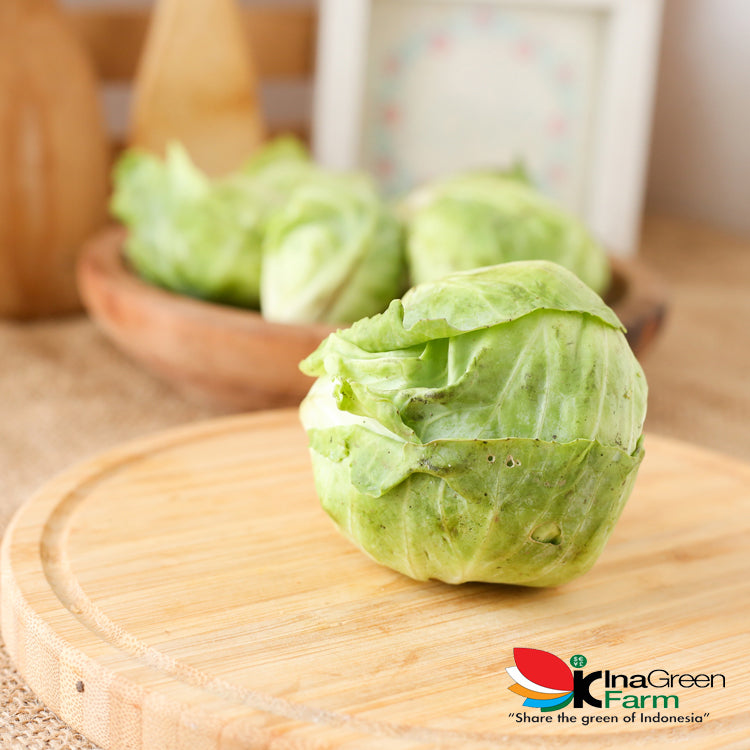 Inagreen Farm Bandung Sayur Keciwis / Ceciwis Segar 250 Gram