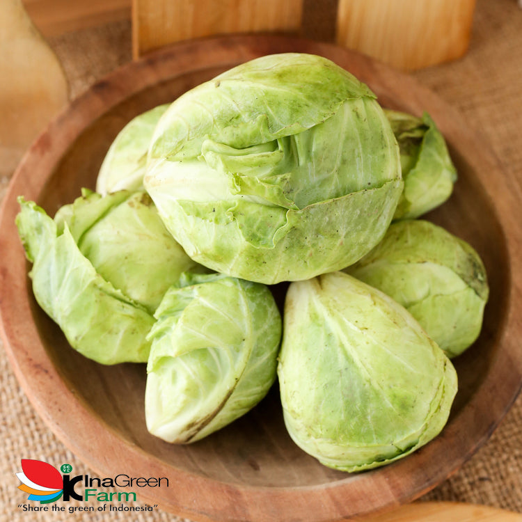 Inagreen Farm Bandung Sayur Keciwis / Ceciwis Segar 250 Gram