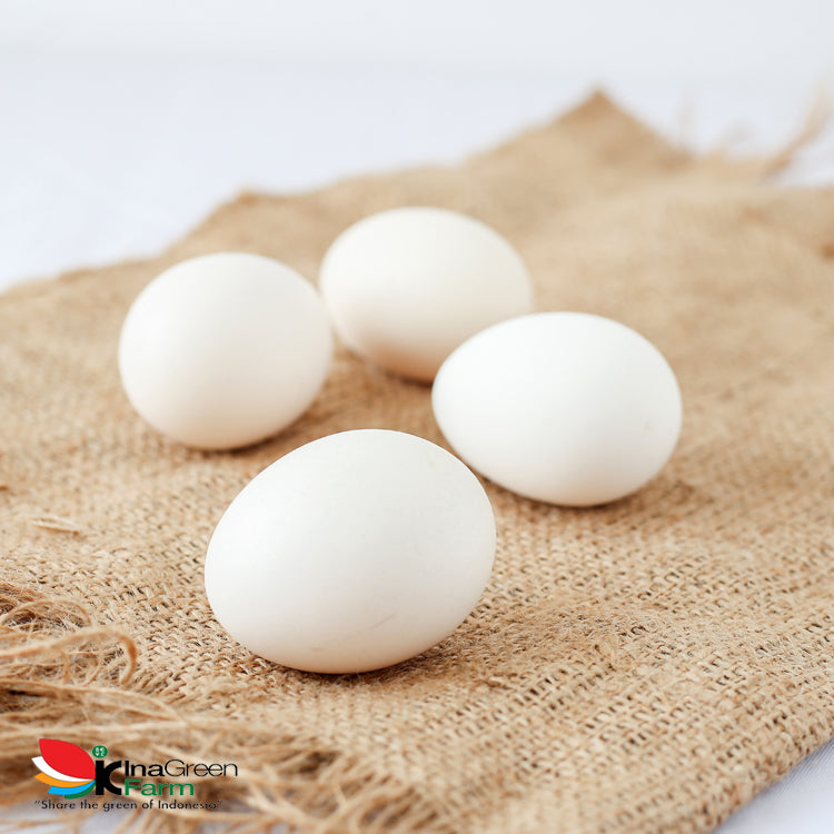 Inagreen Farm Bandung Telur Ayam Kampung Premium Omega 3