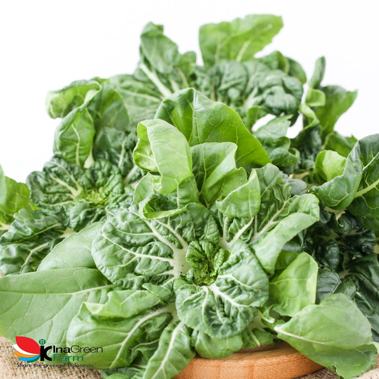 Inagreen Farm Bandung Sayur Pakcoy mini / Naibai Organik 250 Gram