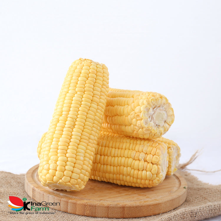 Inagreen Farm Bandung Jagung Manis
