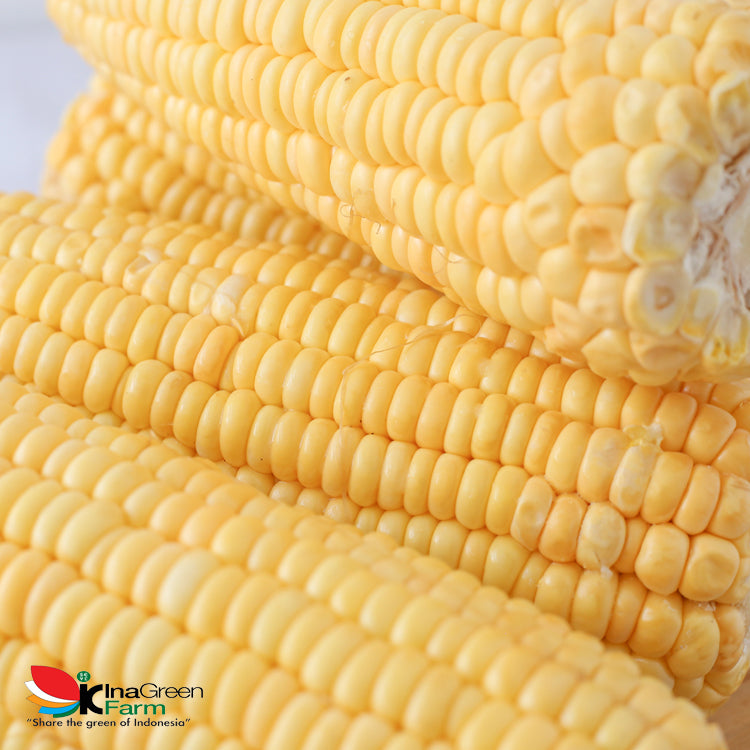 Inagreen Farm Bandung Jagung Manis