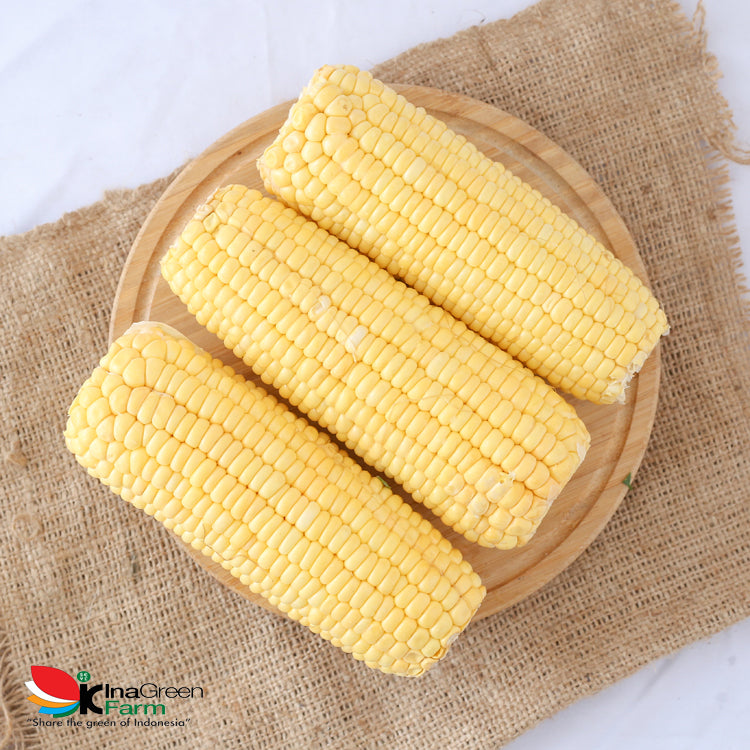 Inagreen Farm Bandung Jagung Manis