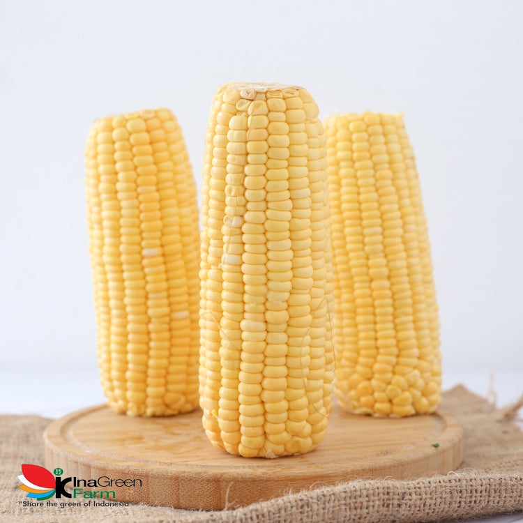 Inagreen Farm Bandung Jagung Manis