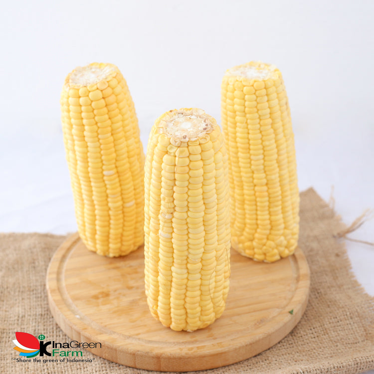 Inagreen Farm Bandung Jagung Manis