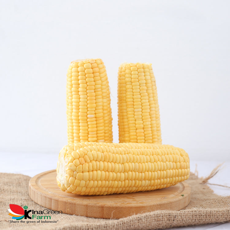 Inagreen Farm Bandung Jagung Manis