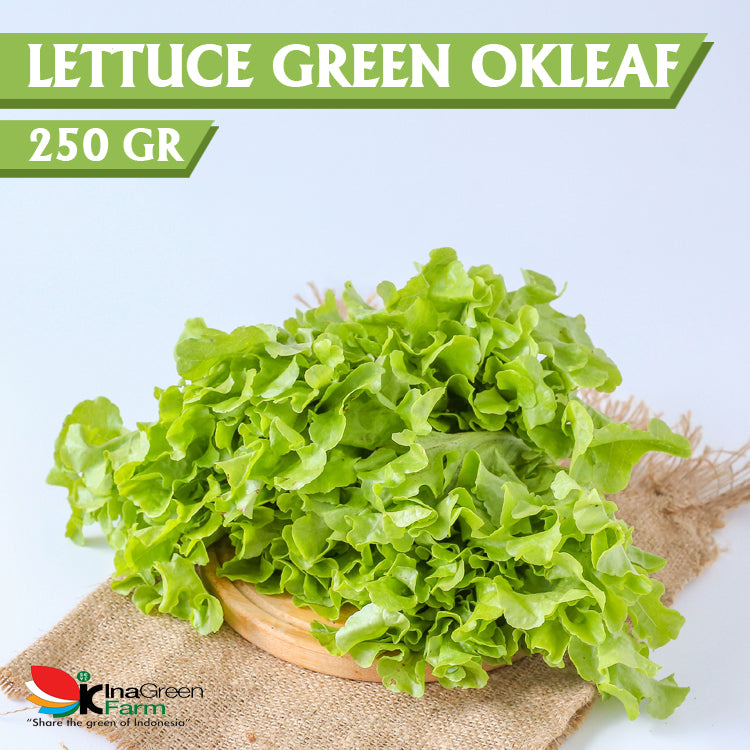 Inagreen Farm Bandung Green Oakleaf Lettuce Organik 250 Gram