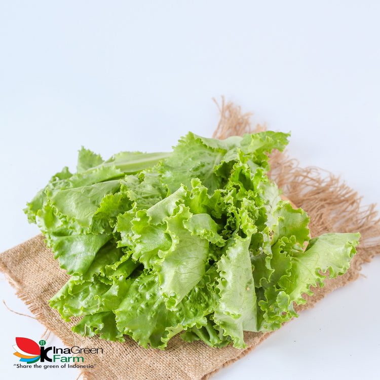 Inagreen Farm Bandung Batavia Lettuce Organik 250 Gram