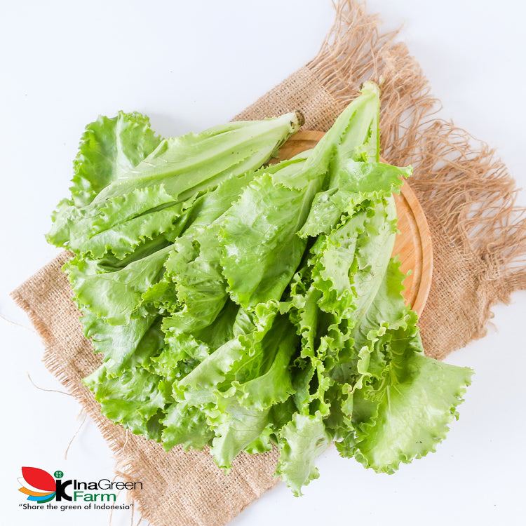 Inagreen Farm Bandung Batavia Lettuce Organik 250 Gram