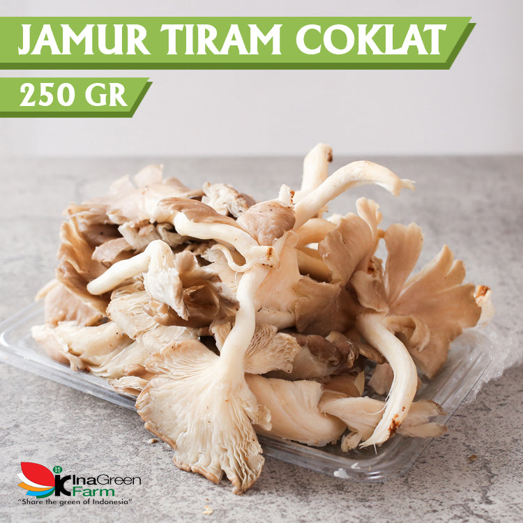 Jamur Tiram Coklat Fresh Inagreen