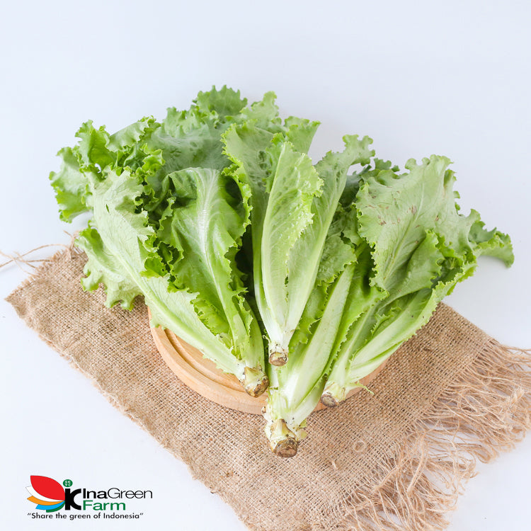 Inagreen Farm Bandung Batavia Lettuce Organik 250 Gram