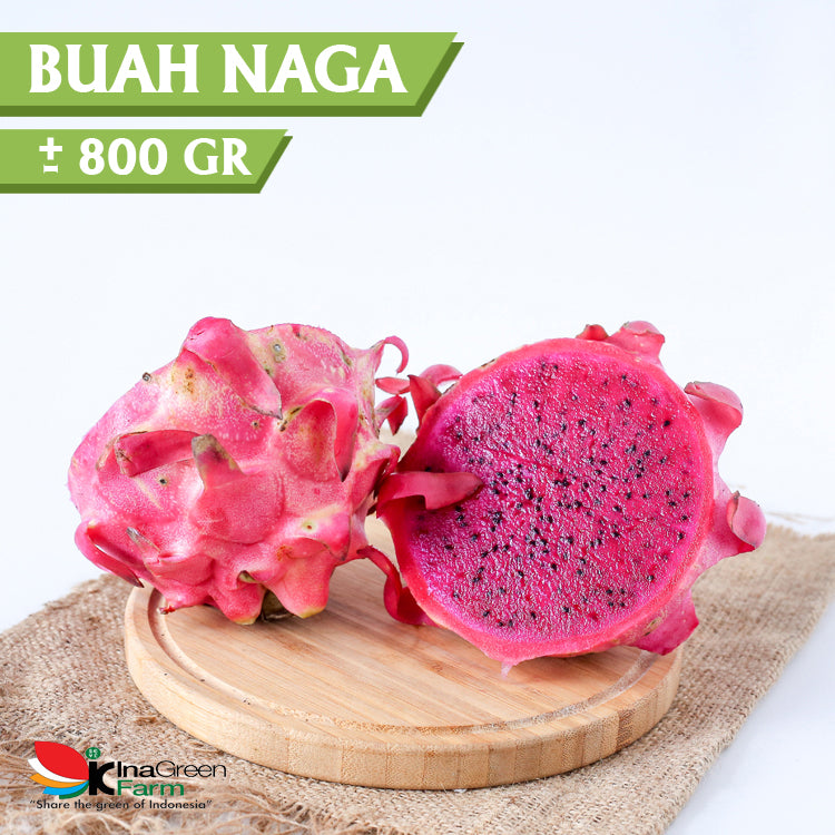 Inagreen Farm Bandung Buah Naga
