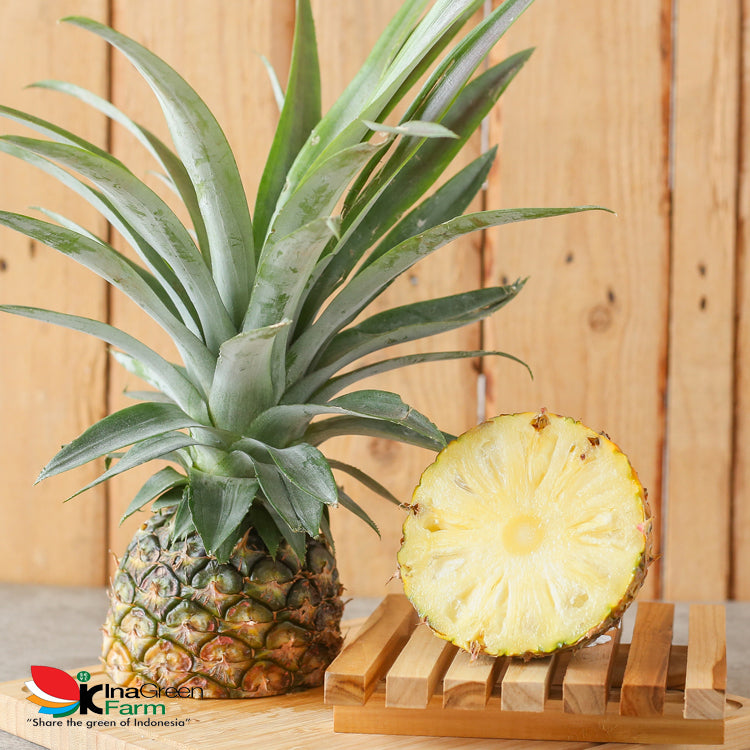 Inagreen Farm Bandung Buah Nanas Madu Subang
