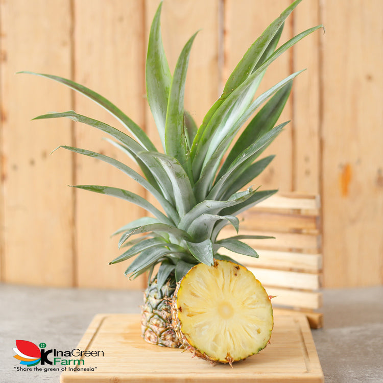 Inagreen Farm Bandung Buah Nanas Madu Subang