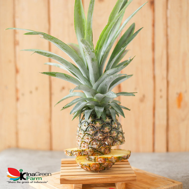 Inagreen Farm Bandung Buah Nanas Madu Subang