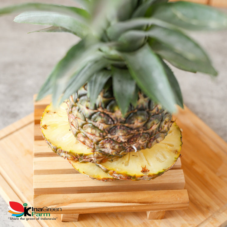 Inagreen Farm Bandung Buah Nanas Madu Subang