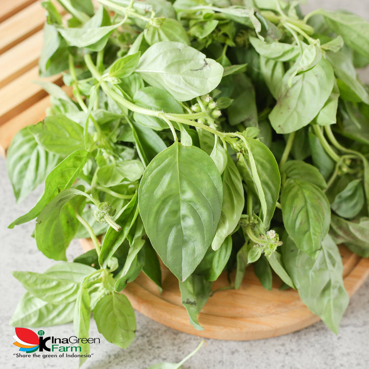 Inagreen Farm Bandung Daun Kemangi 100 Gram