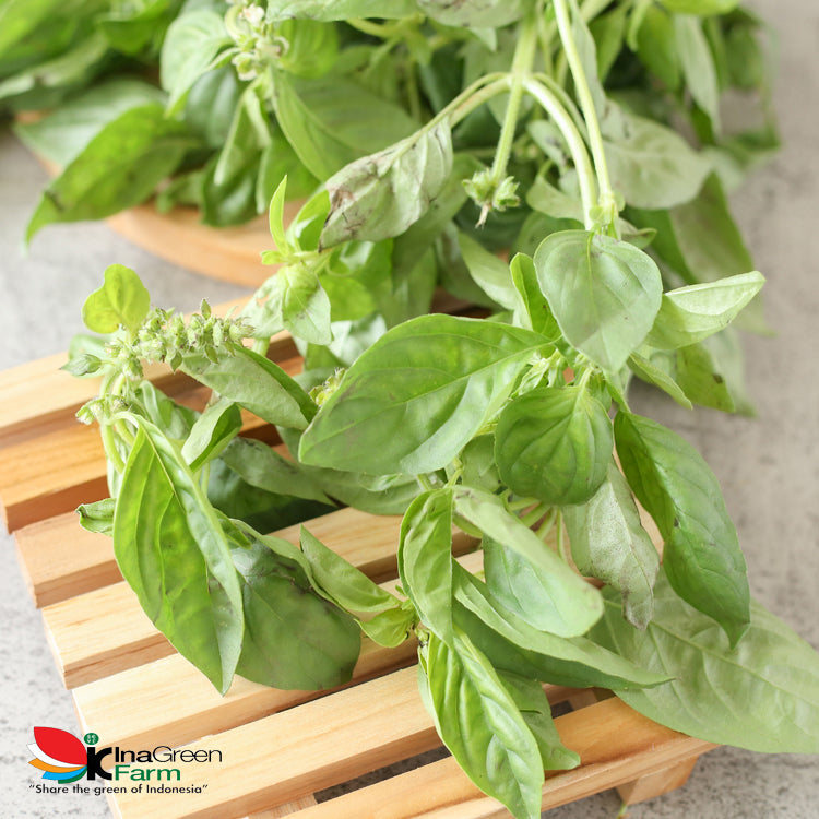 Inagreen Farm Bandung Daun Kemangi 100 Gram