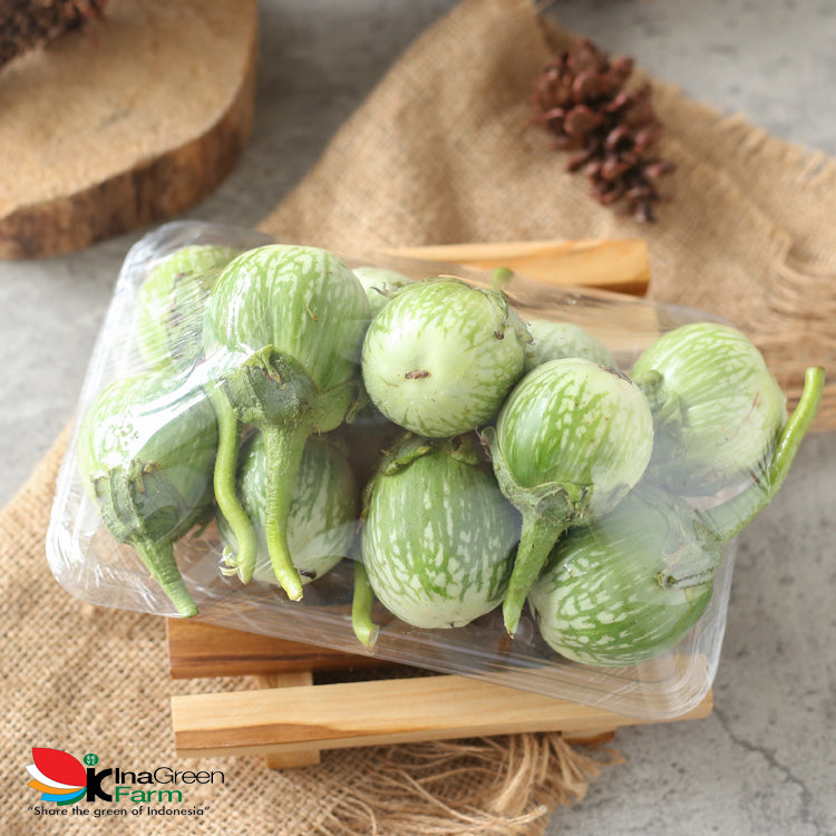 Inagreen Farm Bandung Terong Bulat/Terong Lalap