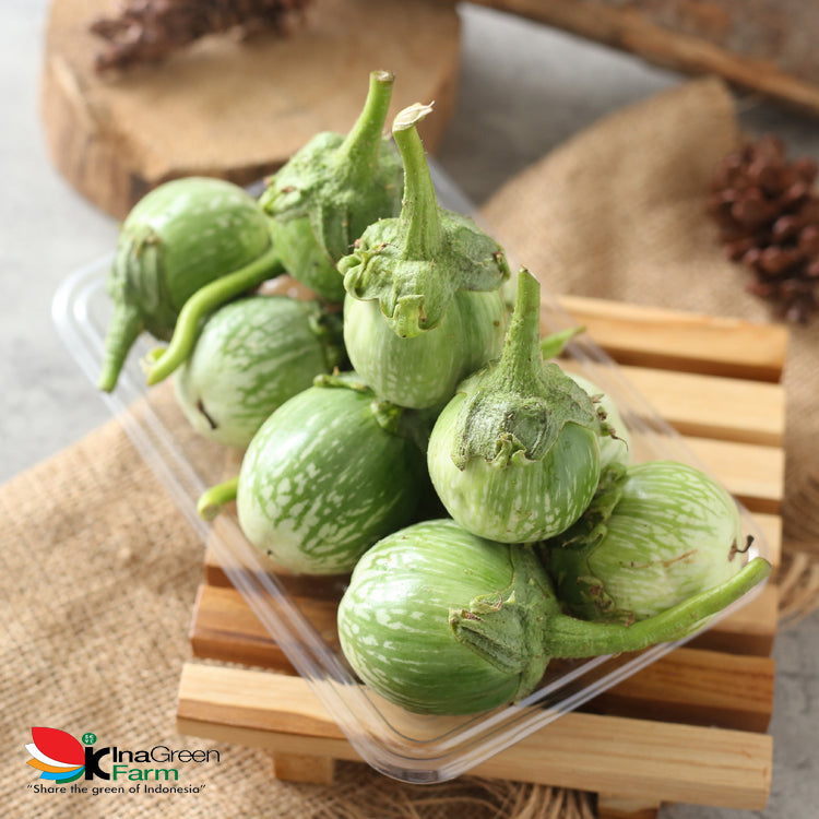 Inagreen Farm Bandung Terong Bulat/Terong Lalap