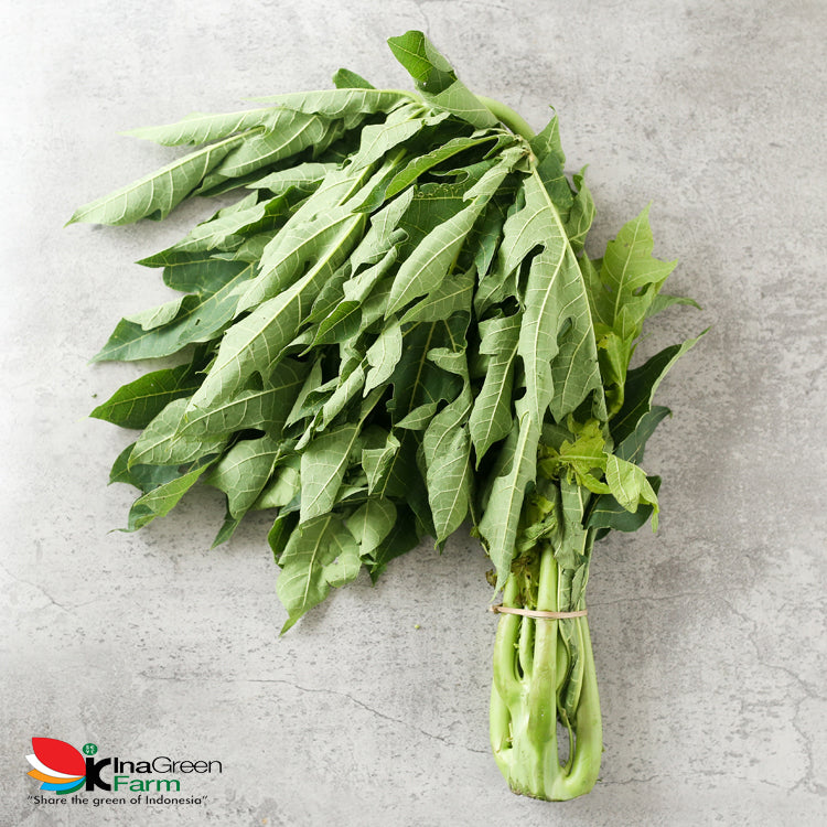 Inagreen Farm Bandung Daun Pepaya Fresh