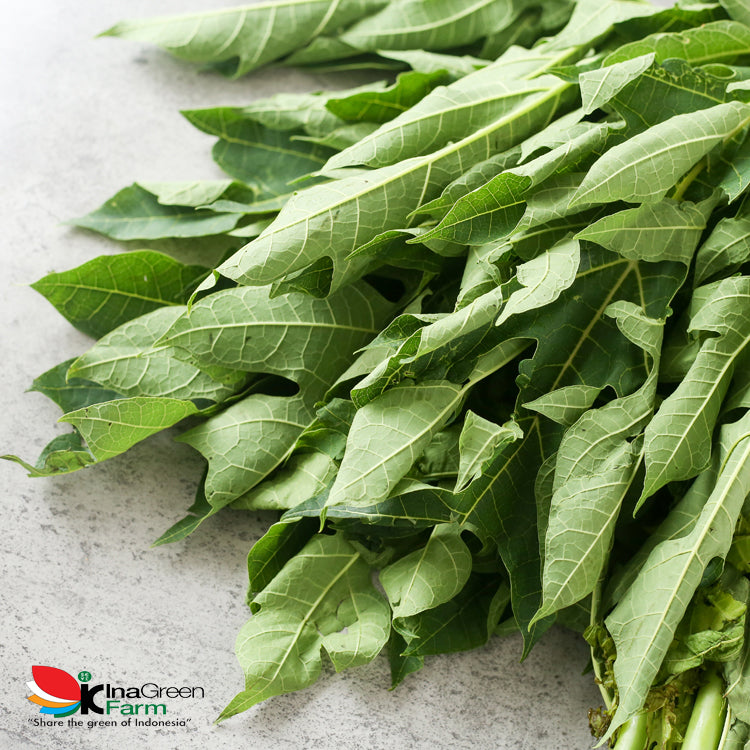 Inagreen Farm Bandung Daun Pepaya Fresh