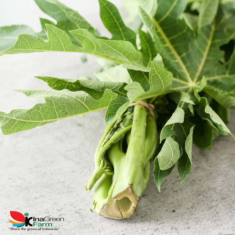 Inagreen Farm Bandung Daun Pepaya Fresh