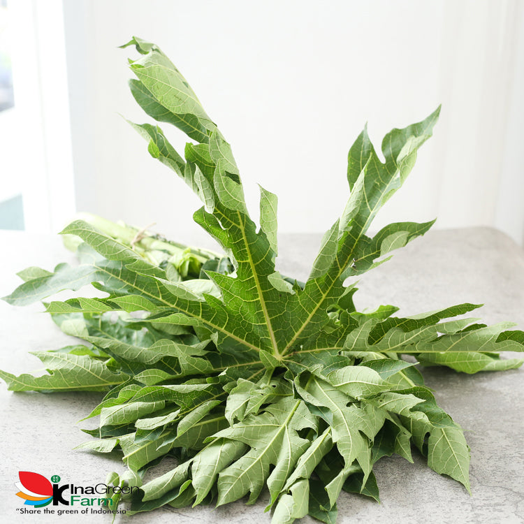 Inagreen Farm Bandung Daun Pepaya Fresh