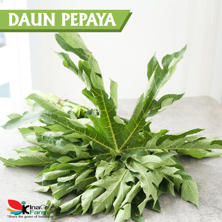 Inagreen Farm Bandung Daun Pepaya Fresh