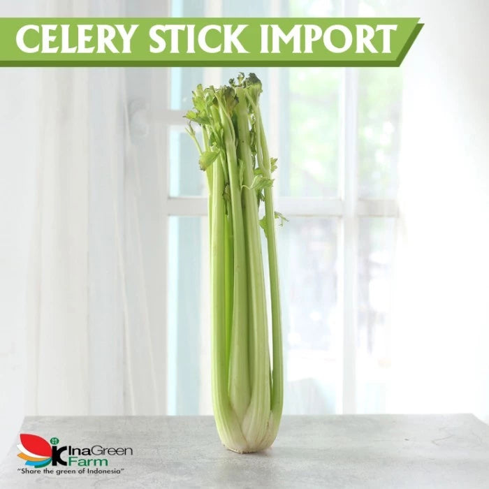 Celery Stick/Batang Seledri Fresh Import Inagreen