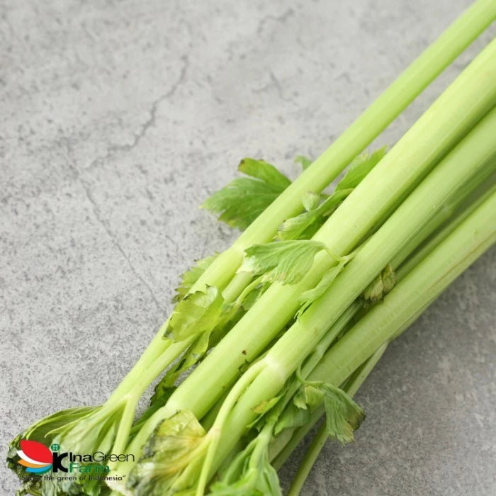 Celery Stick/Batang Seledri Fresh Import Inagreen
