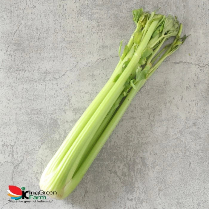Celery Stick/Batang Seledri Fresh Import Inagreen
