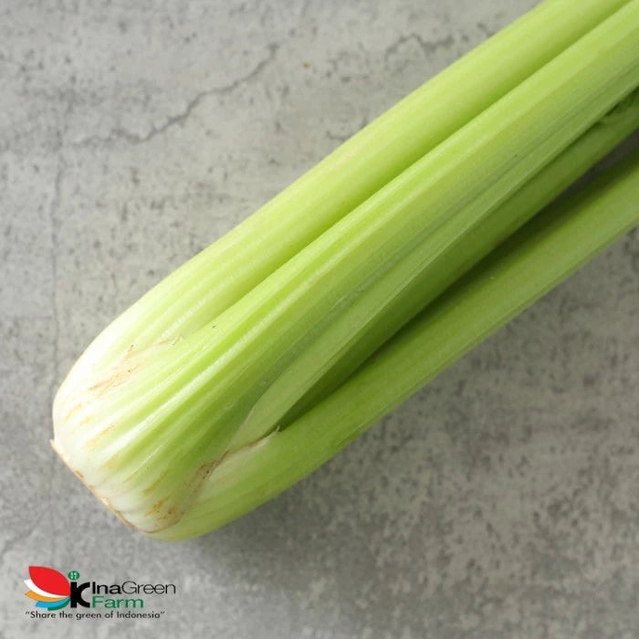 Celery Stick/Batang Seledri Fresh Import Inagreen